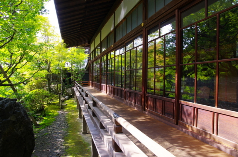 このハリネズミとその一家は,私たちの屋敷の縁侧(えんがわ)に住んで