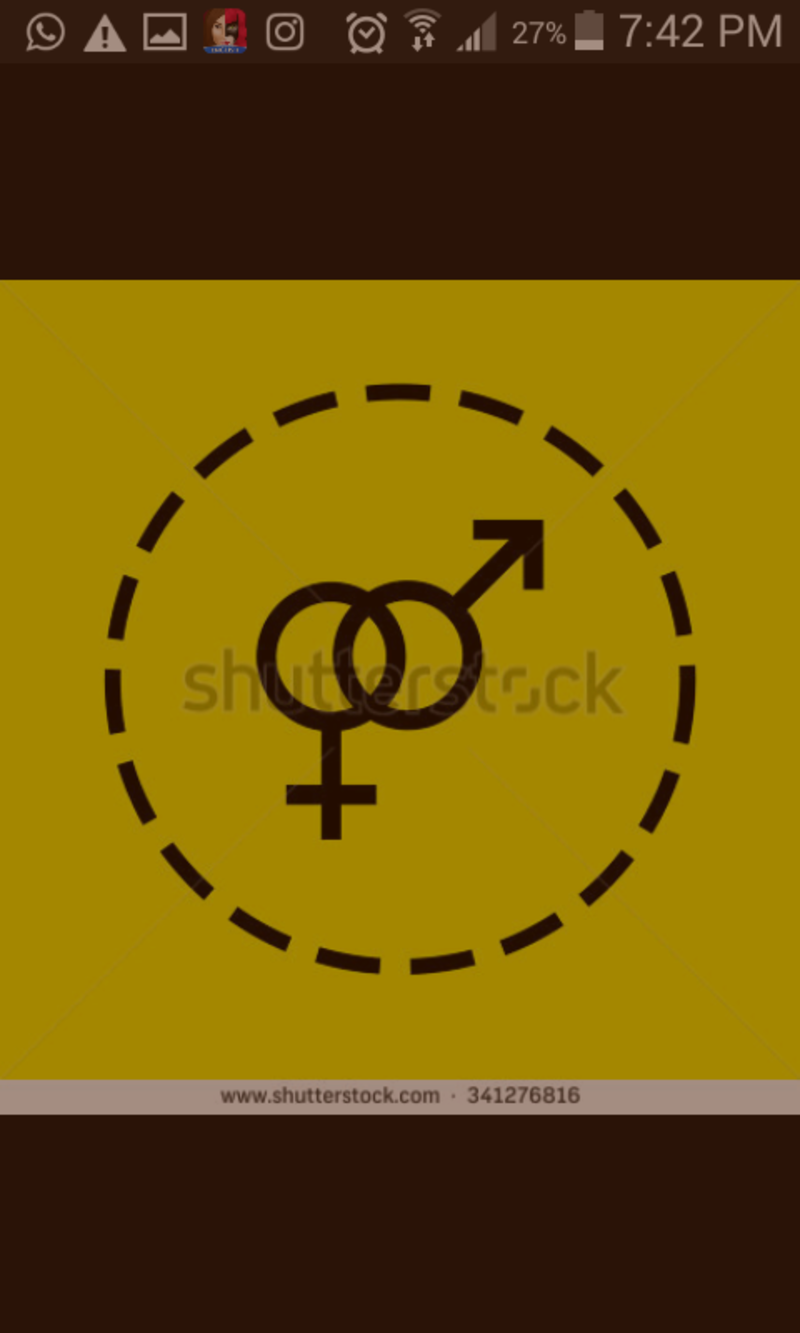 straight 是什么意思?