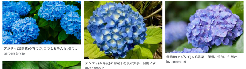 请教我一个使用日本で紫阳花のことわざがありませんか的例句最好是在