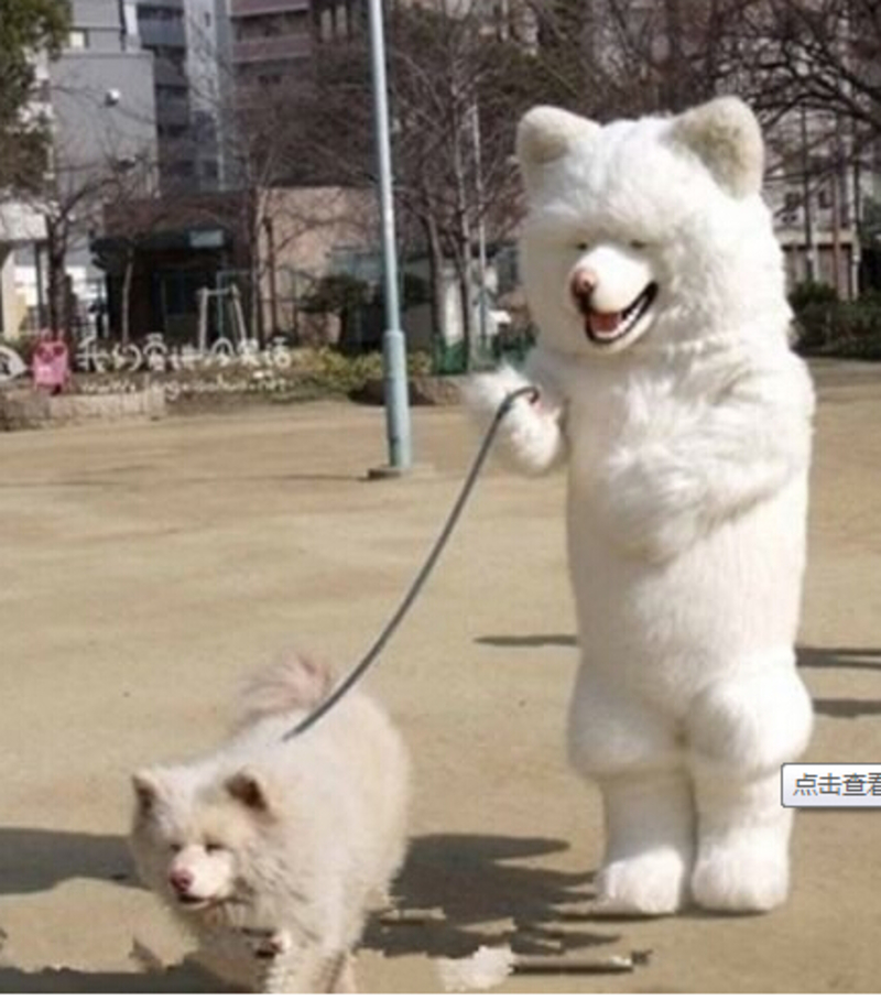 how to say dog in japanese how to say dog in japanese