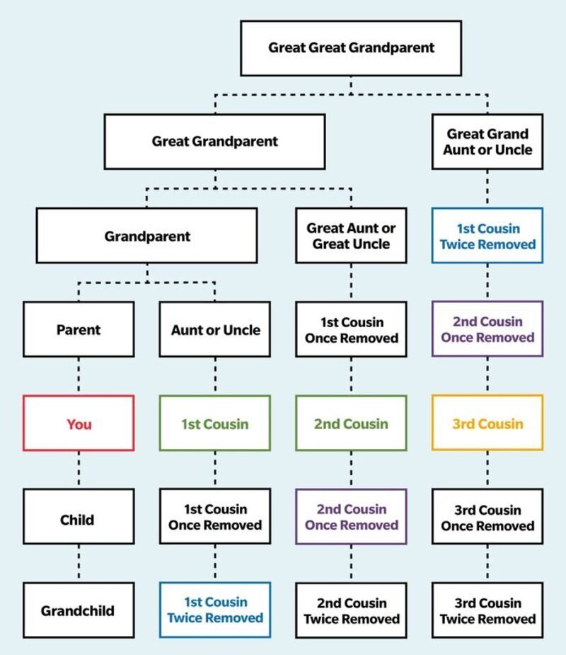 What Is The Meaning Of what Means first Cousin Once Removed first What Is The Meaning Of what Means first Cousin Once Removed first