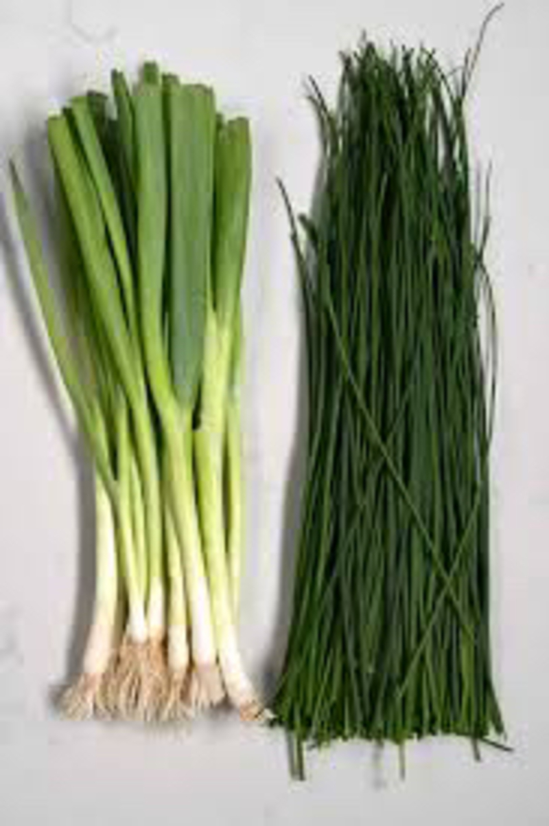 🆚What is the difference between scallion and green onion and