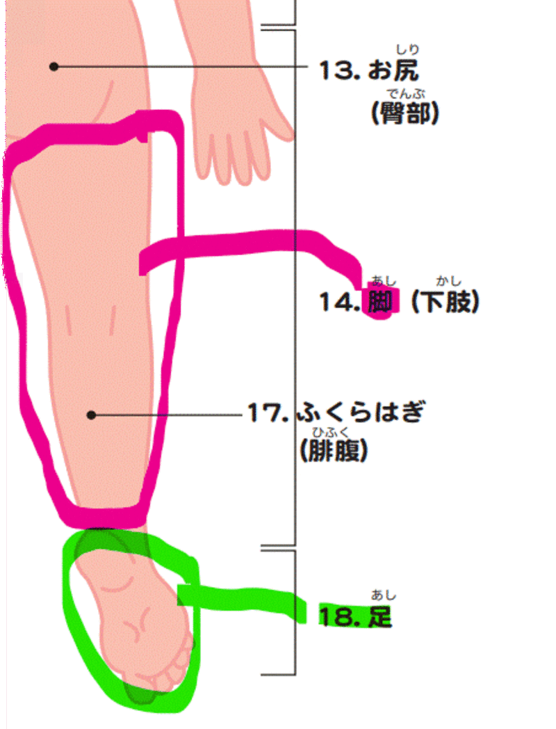 i-am-confused-on-how-to-say-legs-and-feet-as-separate-parts-i-searched