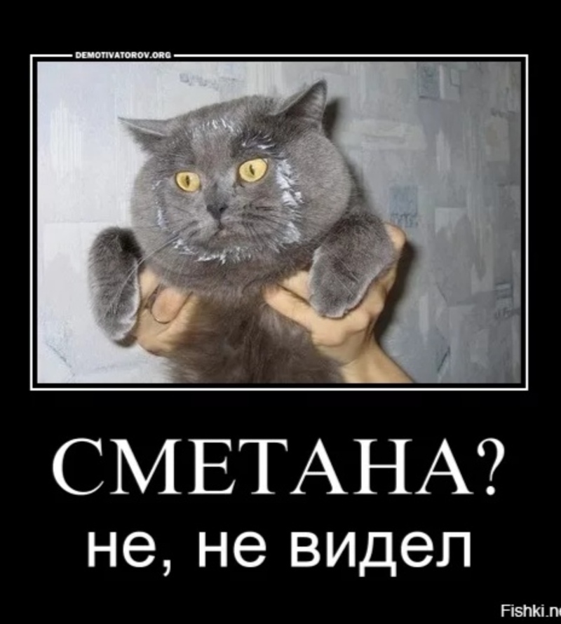 Рыльце у тебя в пуху значение выражения. Рыльце у тебя в пуху значение выражения