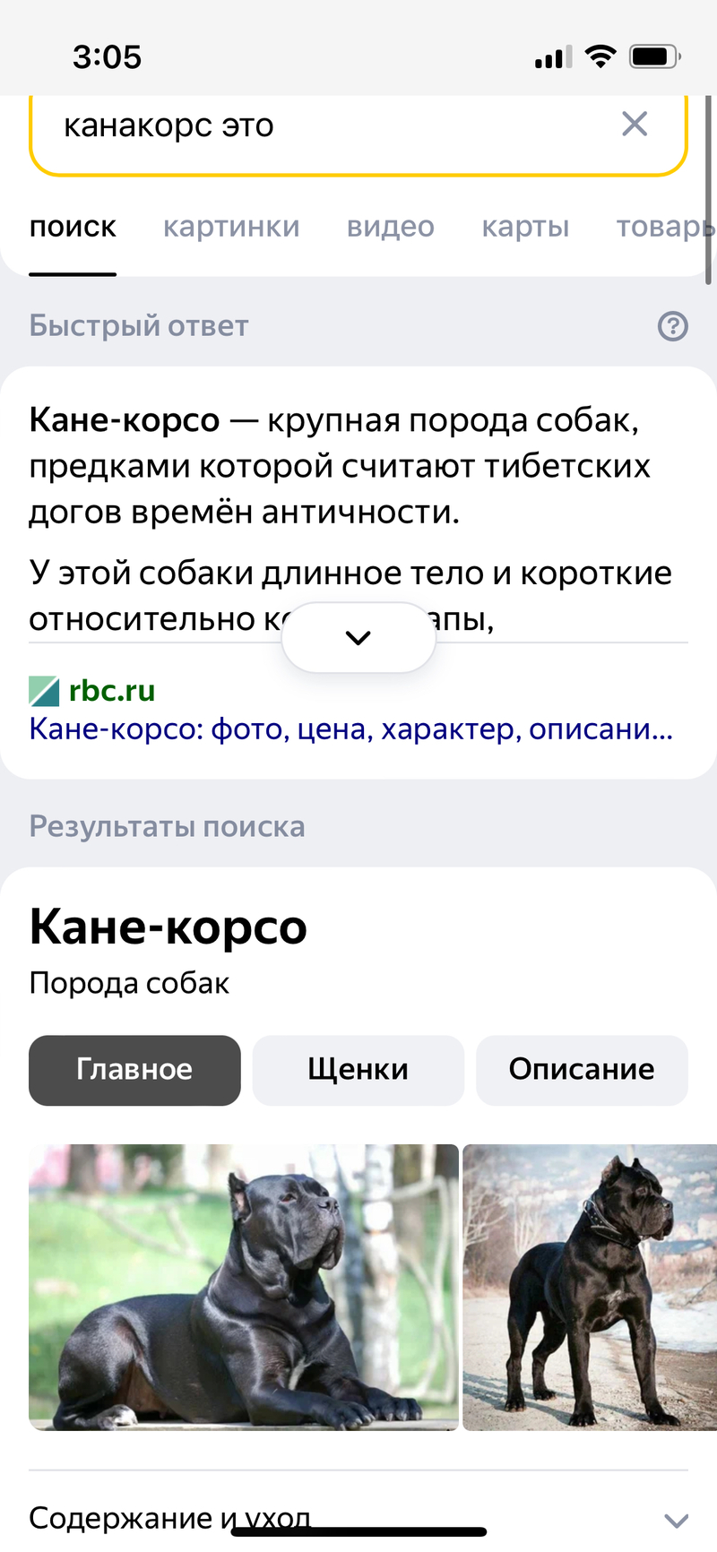 Was bedeutet "Это просто канакорс" ? - Frage zu Russisch | HiNative