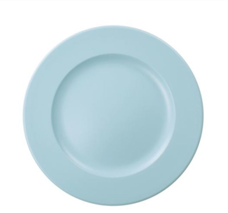 what-is-the-meaning-of-plate-question-about-english-us-hinative