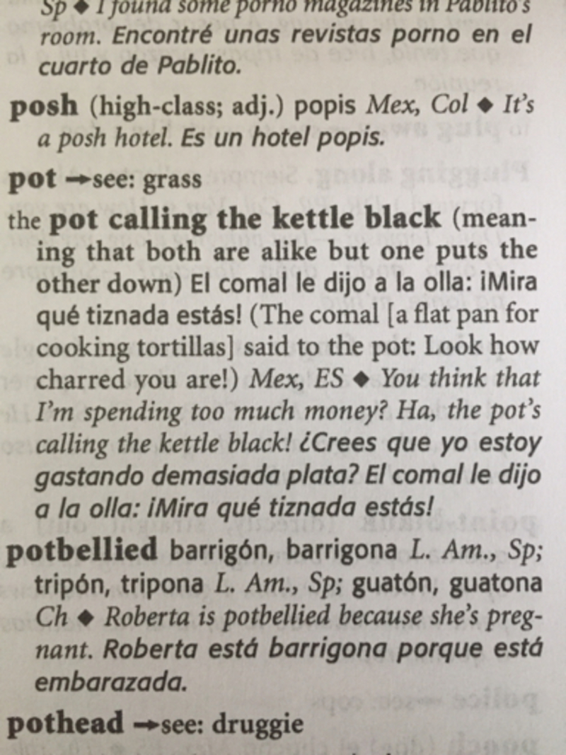 What is the meaning of ""the pot calling the kettle black" "? Question about English (UK