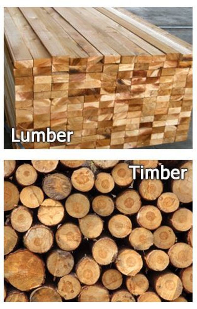 【what Are The Differences These Words Lumber, Timber, Log And Wood?】 と ...