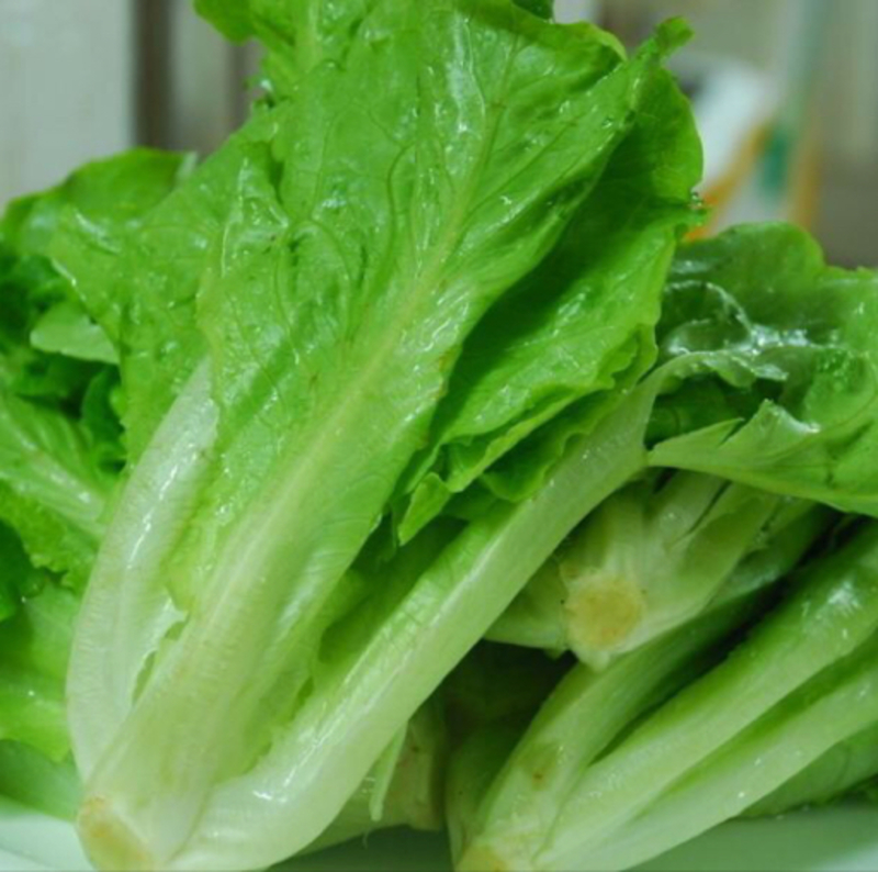 lettuce这个在中文简体里怎么说