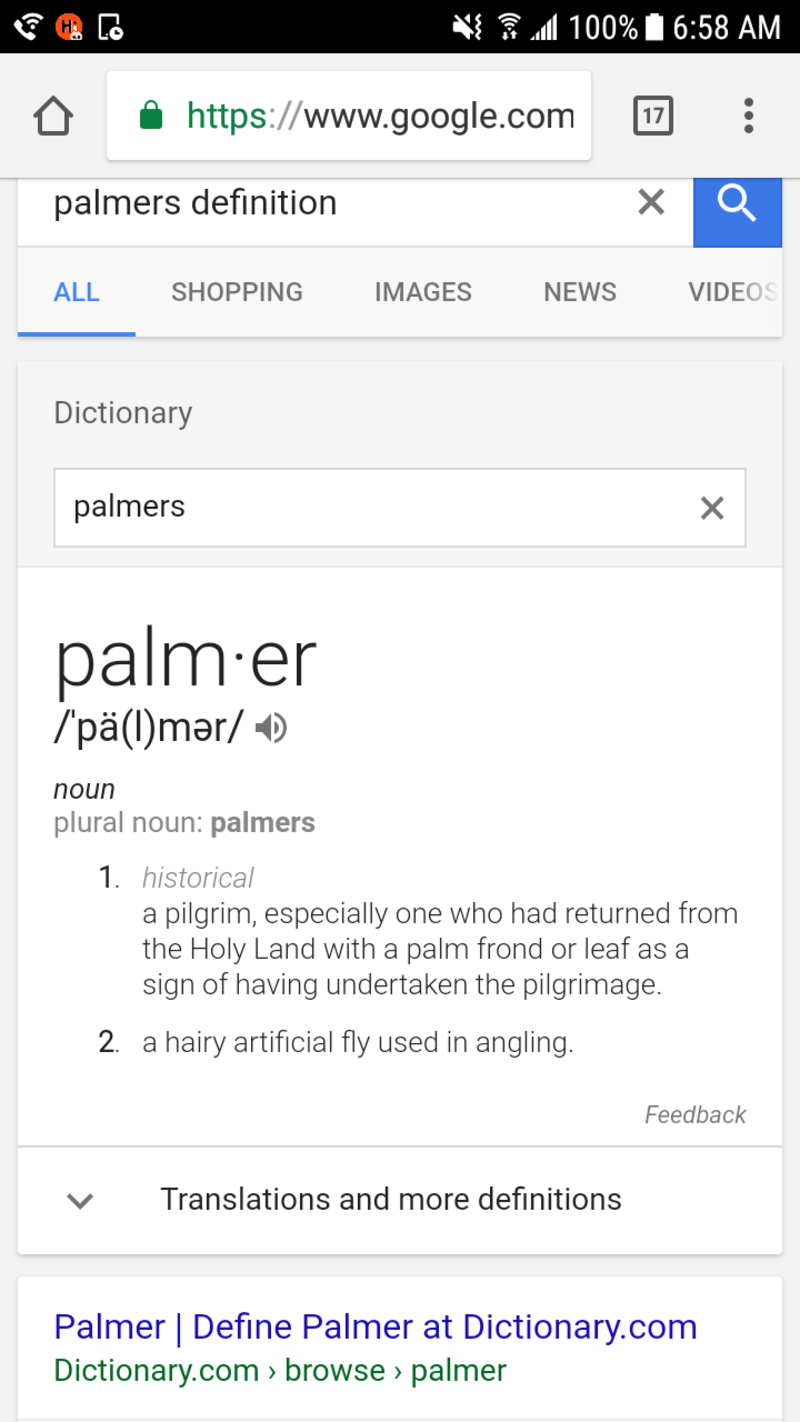 What is the meaning of "palmer"? Question about English (US) HiNative