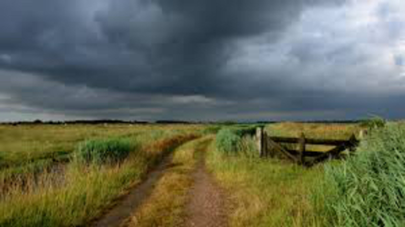 what-is-the-difference-between-foggy-and-cloudy-foggy-vs