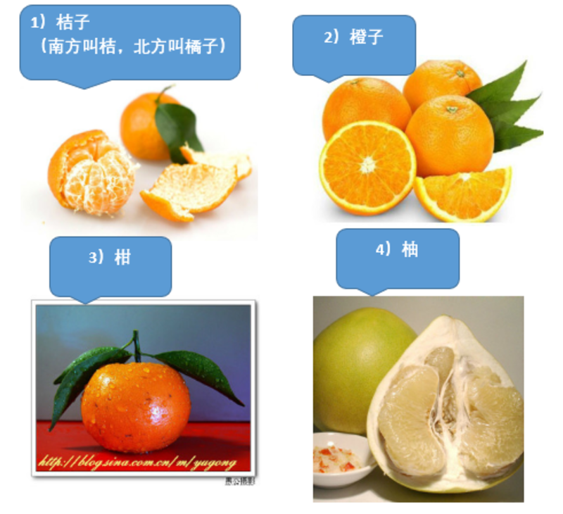 What Is The Difference Between æ©™å­ And æ©˜å­ æ©™å­ Vs æ©˜å­ Hinative