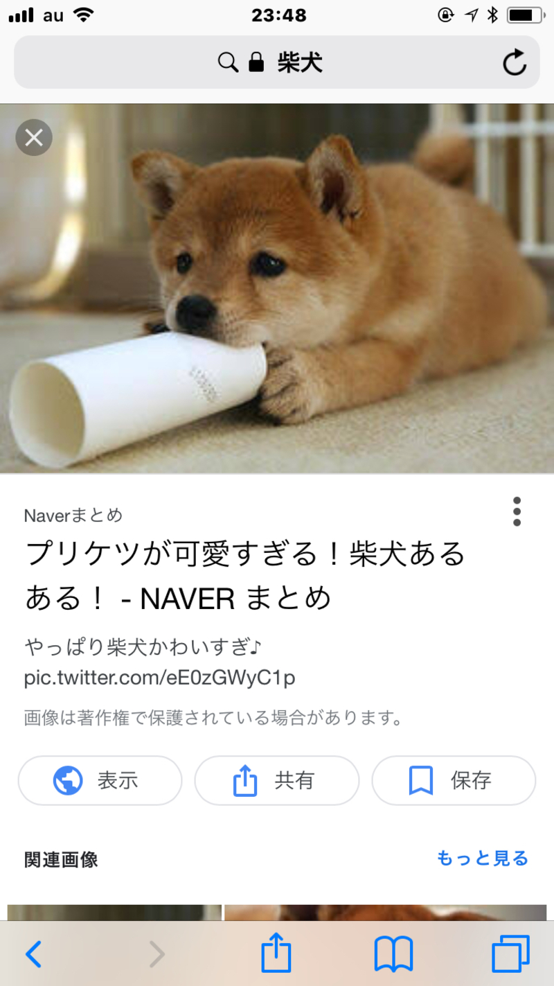 How Do You Say 犬飼いたいなぁ In Traditional Chinese Taiwan Hinative