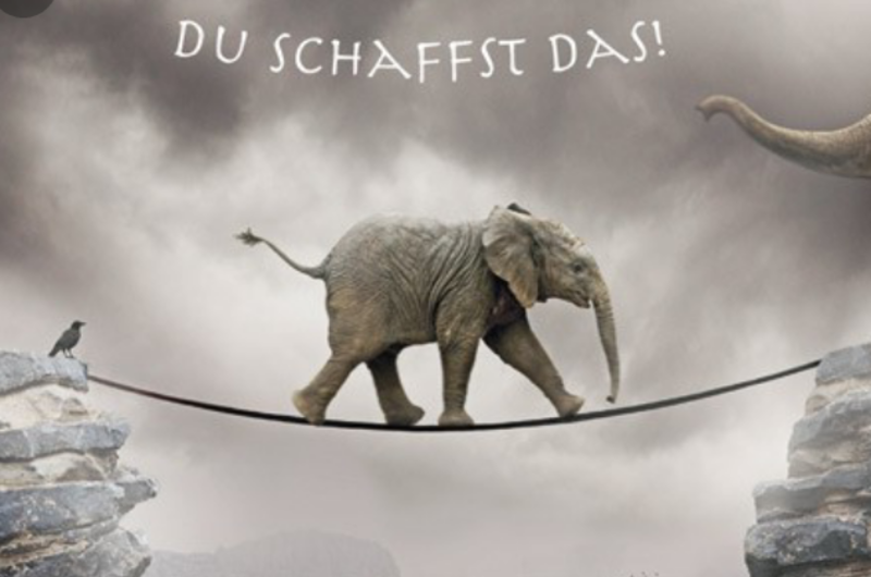 Du machst das schon. Bedeutet You will do it great . ? Ich mache das