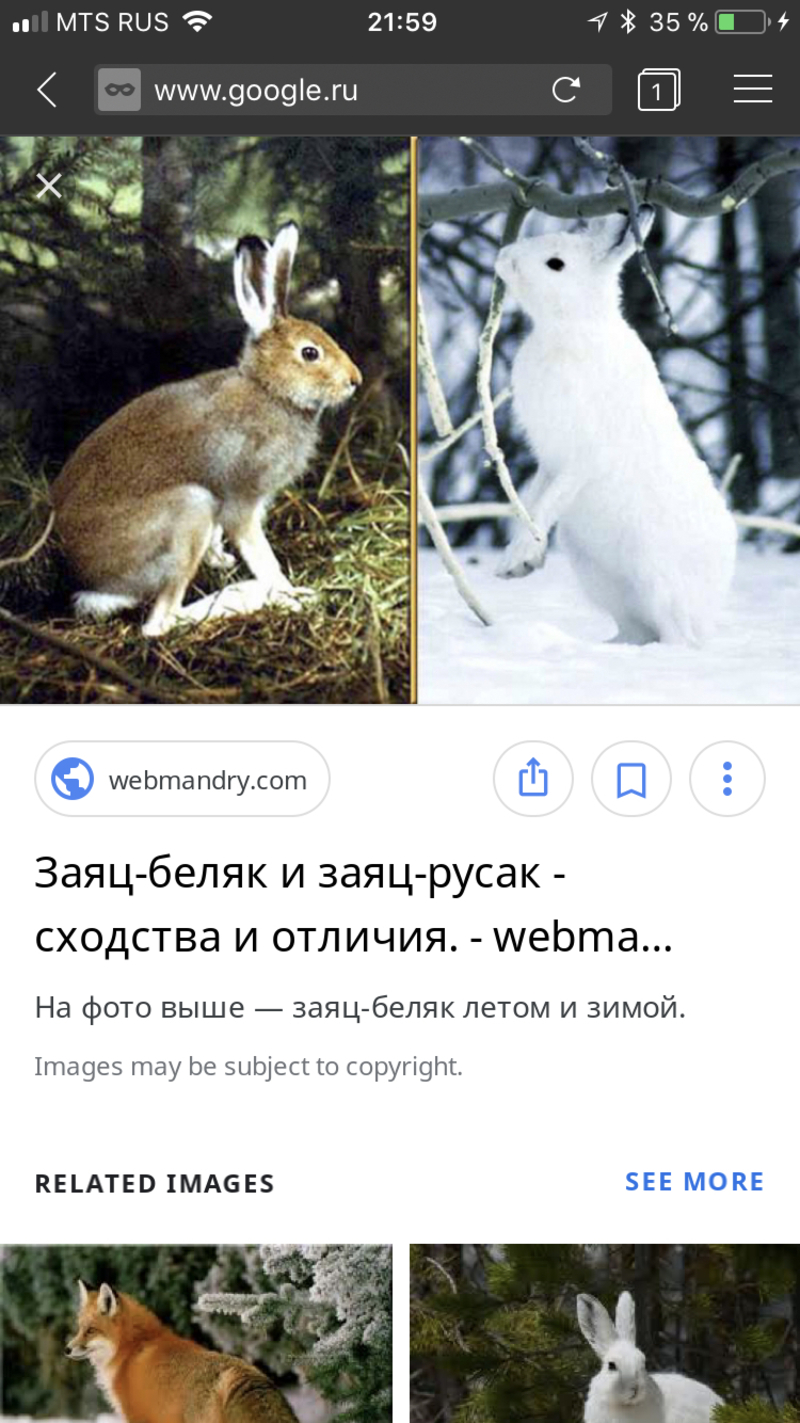 What is the meaning of "руссаки"? - Question about Russian | HiNative