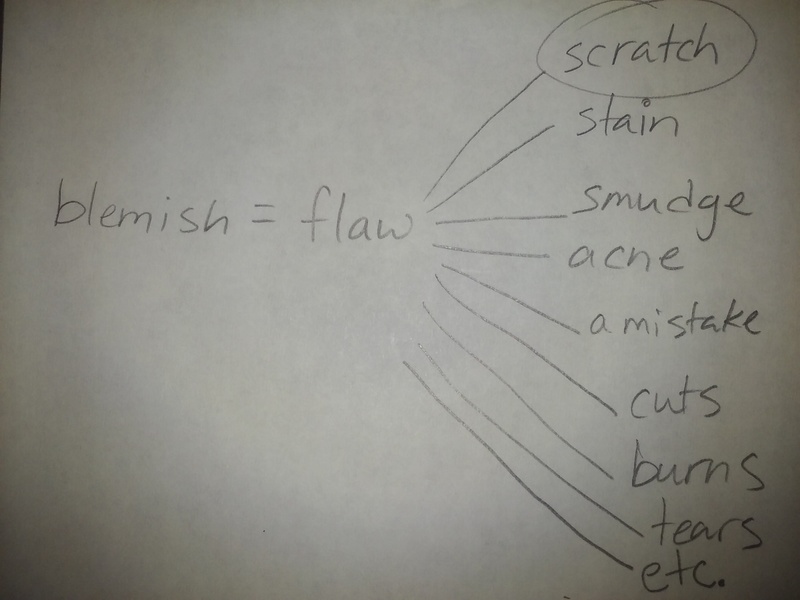 Please show me example sentences with "Blemish ". HiNative