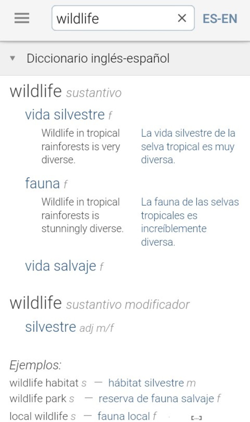 how-do-you-say-wildlife-in-spanish-spain-hinative