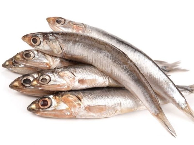 What is the meaning of "anchovies"? Question about English (UK