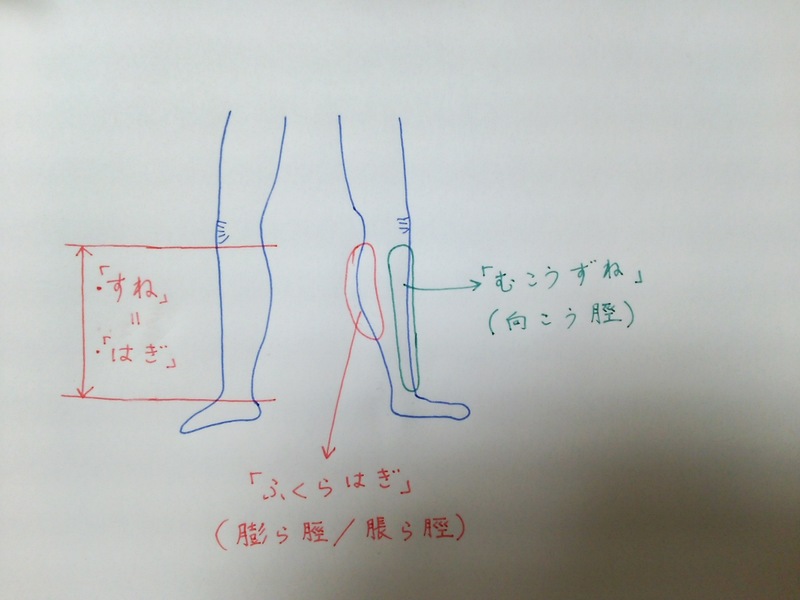 すね 脛 と はぎ はどう違いますか Hinative