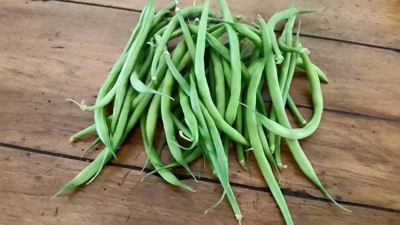 "bring it string bean string bean?"是什么意思?