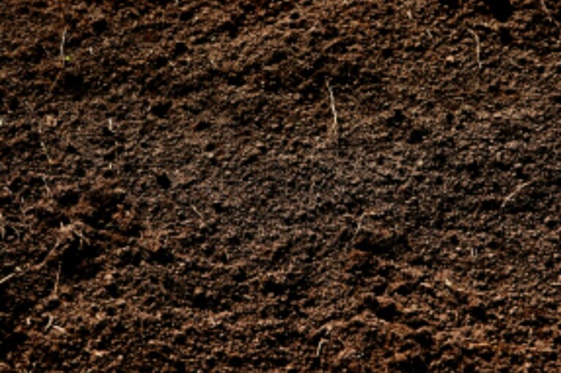 What Does Dirt Mean In British