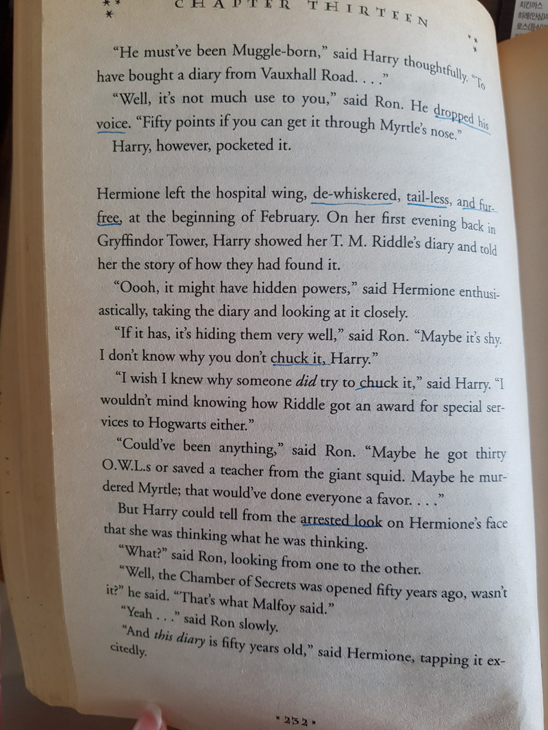 What is the meaning of "arrested look"? Question about English (US