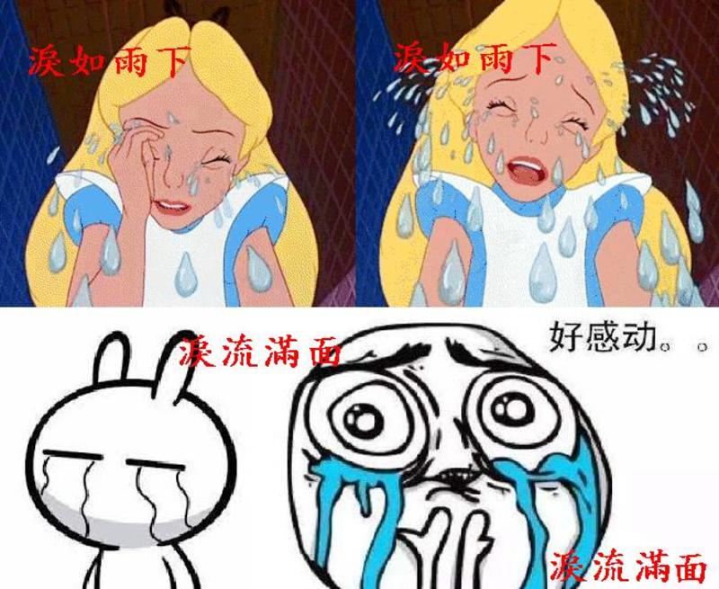 泪如雨下和泪流满面有什么区别如果难以说明的话请教我一下例句