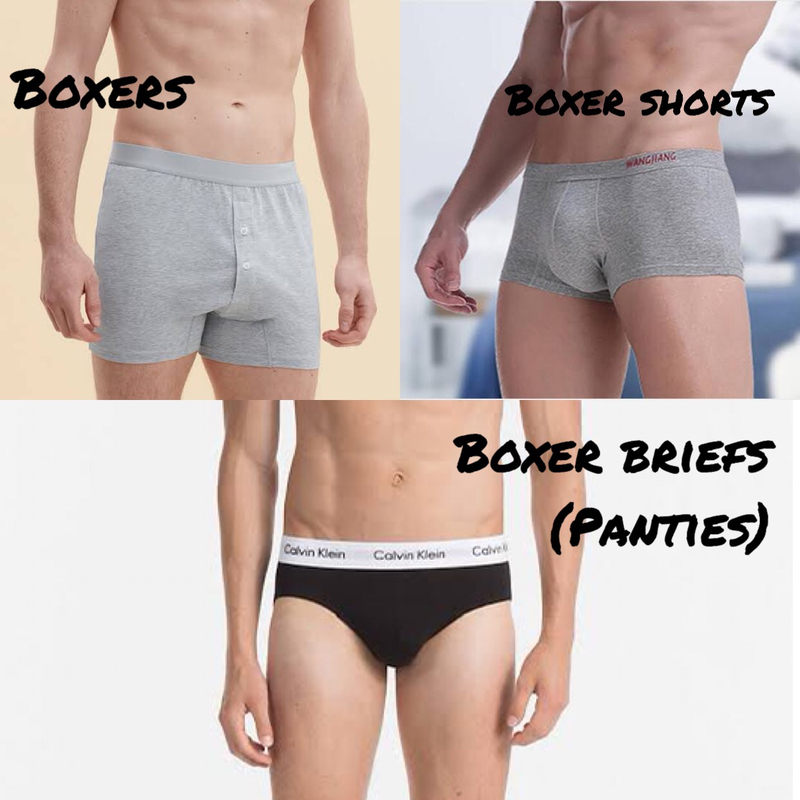 🆚What is the difference between boxer shorts  and boxer panties ? boxer  shorts  vs boxer panties ?