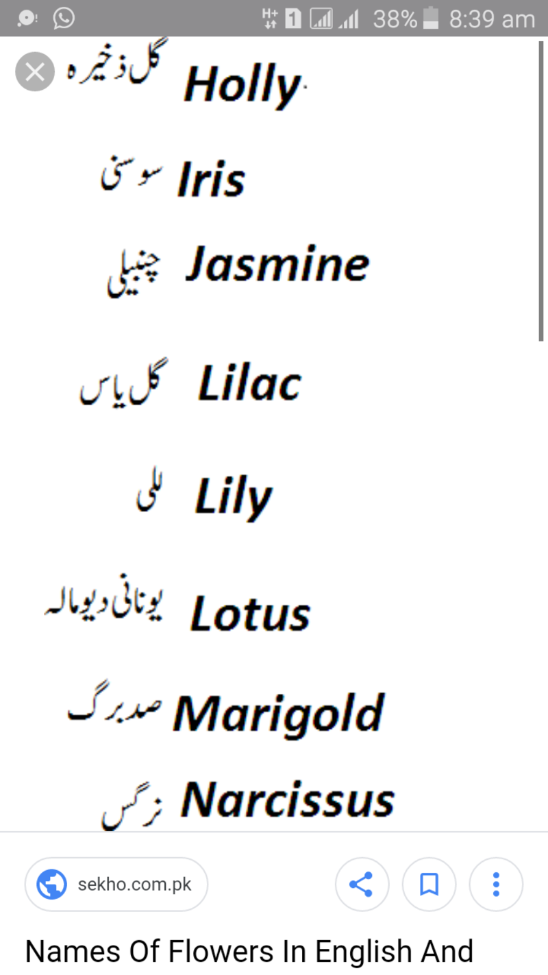 Flowers Name In Urdu With Pictures Best Flower Site