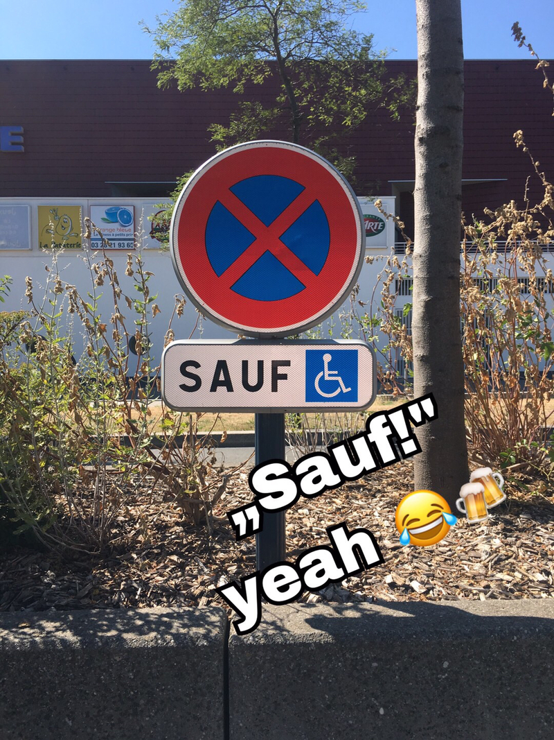 What Is Sauf In French