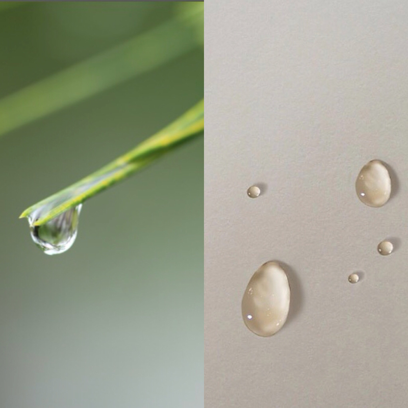 ?【水滴 すいてき】 と 【滴 しずく】 はどう違いますか？ | HiNative