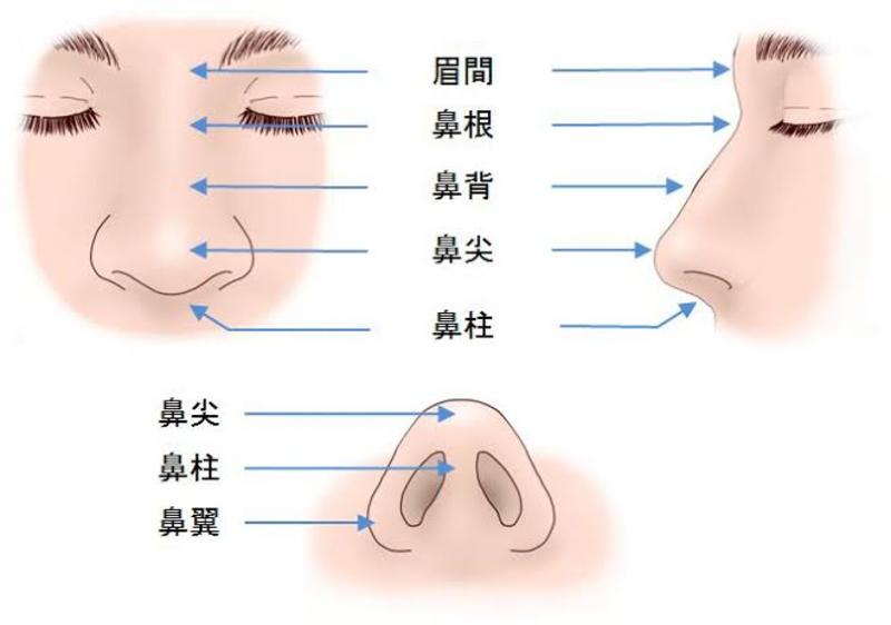 鼻がひくつく とはどういう意味ですか 日本語に関する質問 Hinative