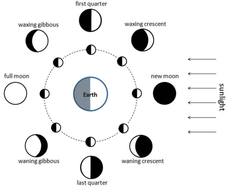 all-phases-of-moon-hinative