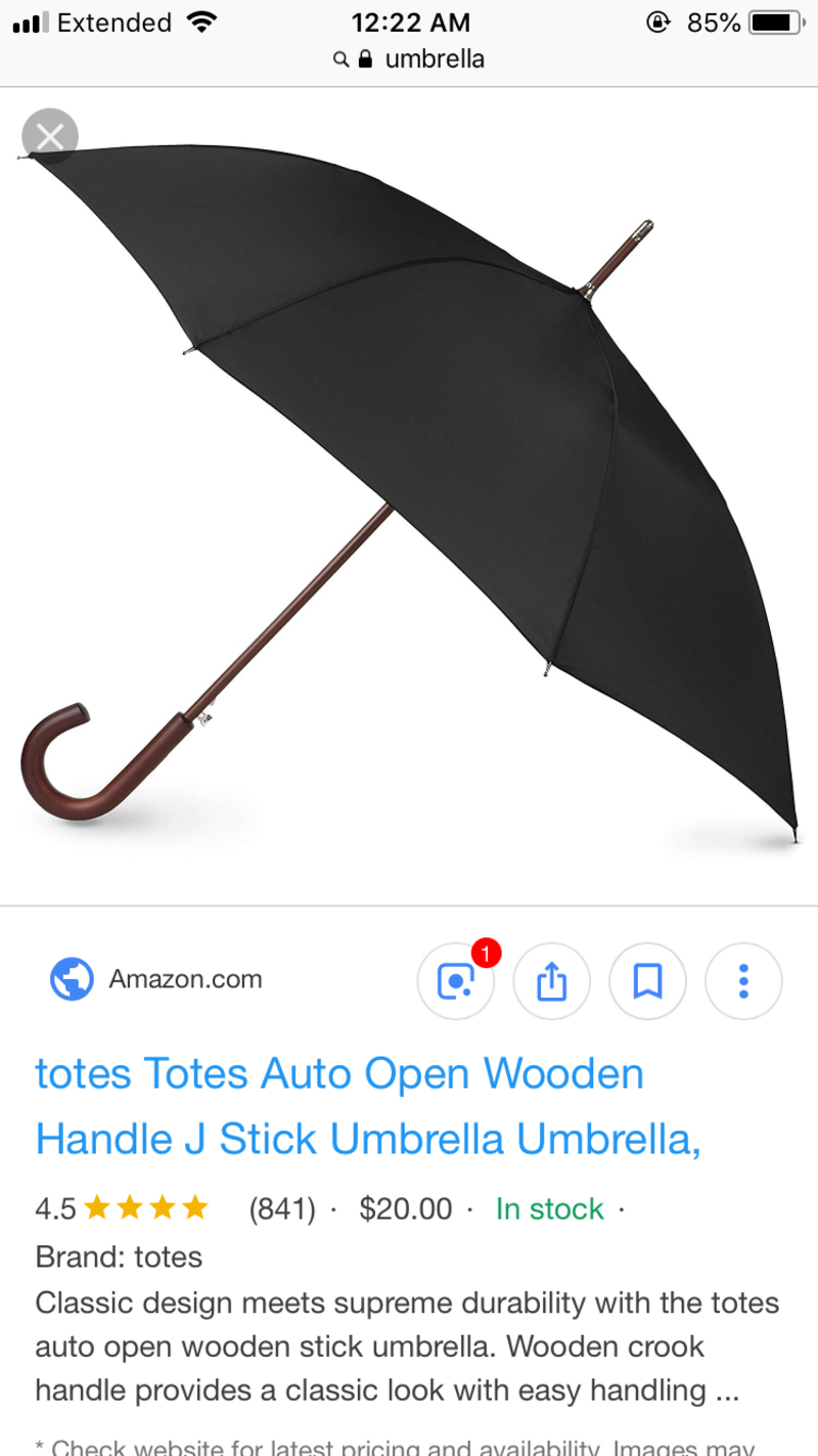 ¿Qué significa "umbrella" en Inglés (US)? HiNative