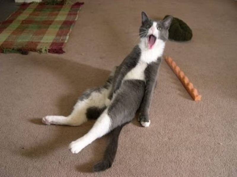 frighten和scare和startle有什么区别如果难以说明的话请教我一下例句