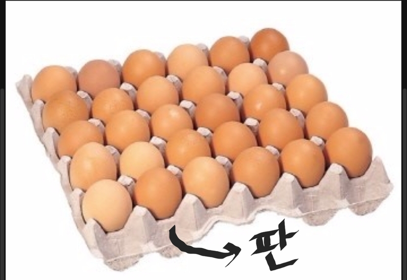 계란 한 판