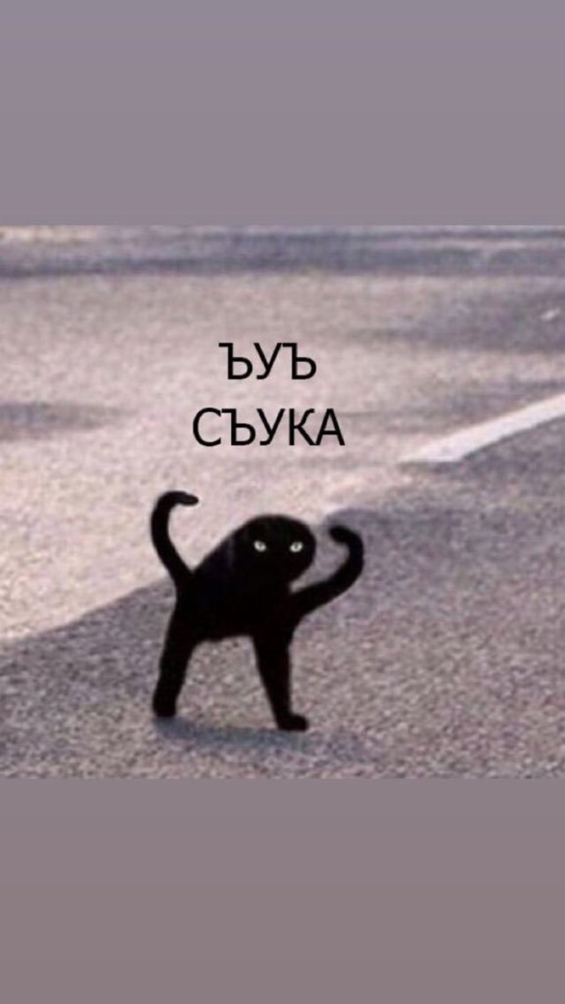 What is the meaning of "ЪУЪ СЪУКА"? - Question about Russian | HiNative