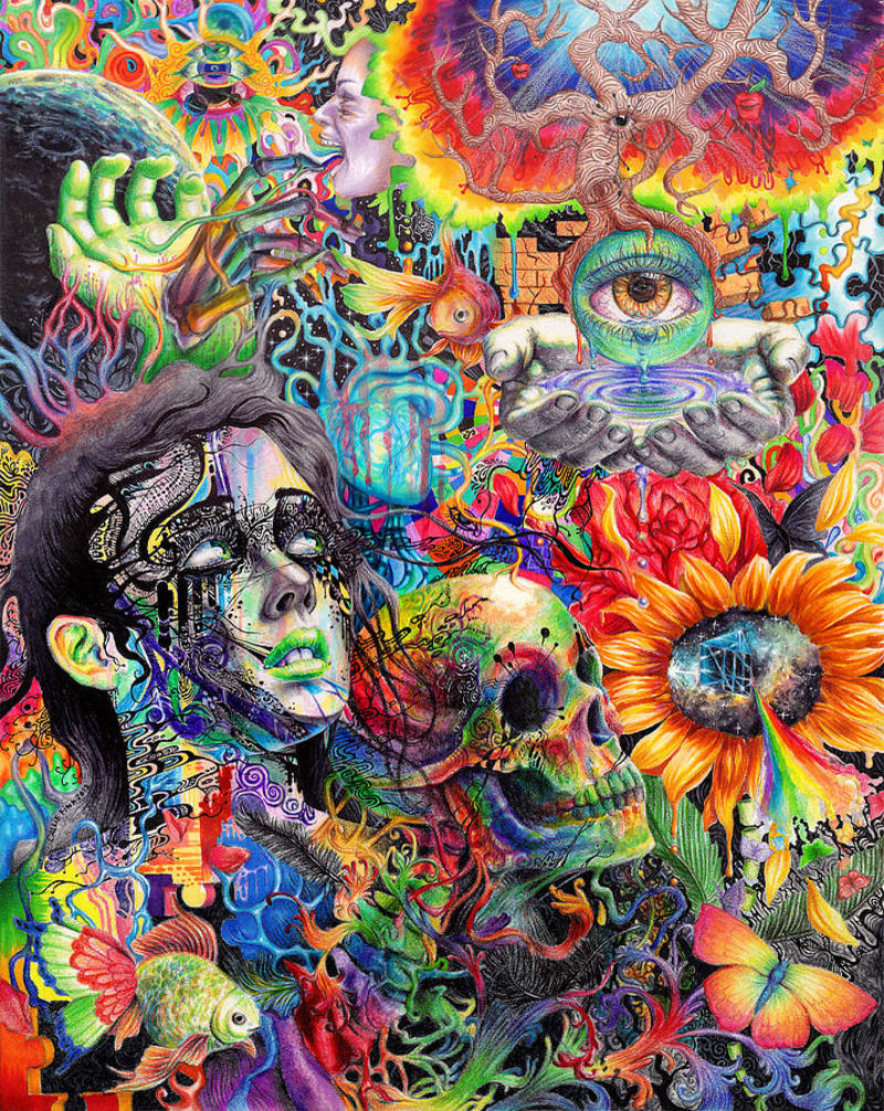 definition of acid trip