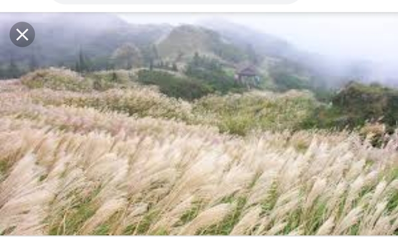 幽霊の正体見たり枯尾花 这个在中文 繁体 台湾 里怎么说 Hinative