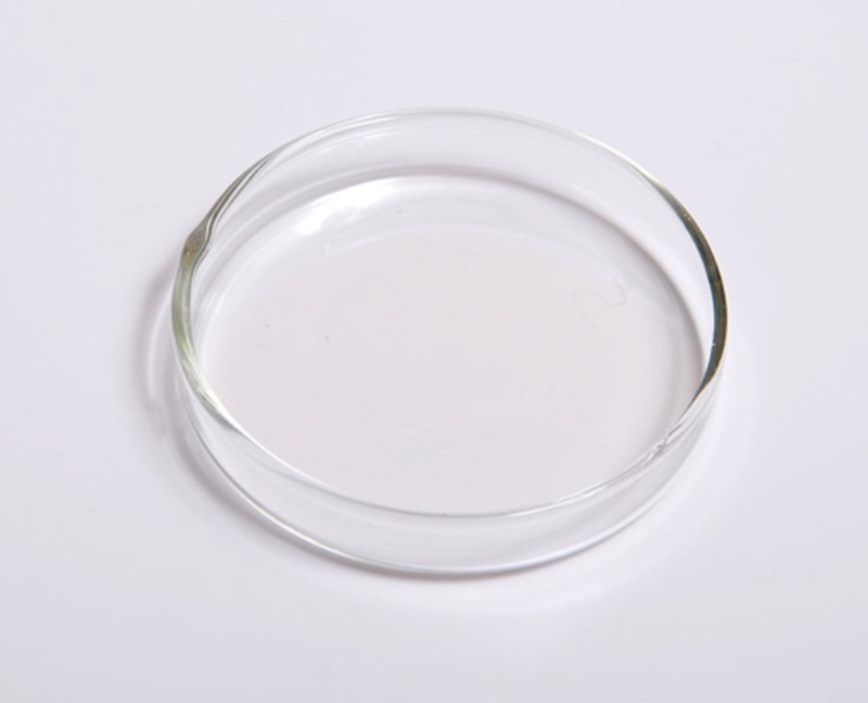 Petri Dish 是什么意思 关于英语 美国 Hinative