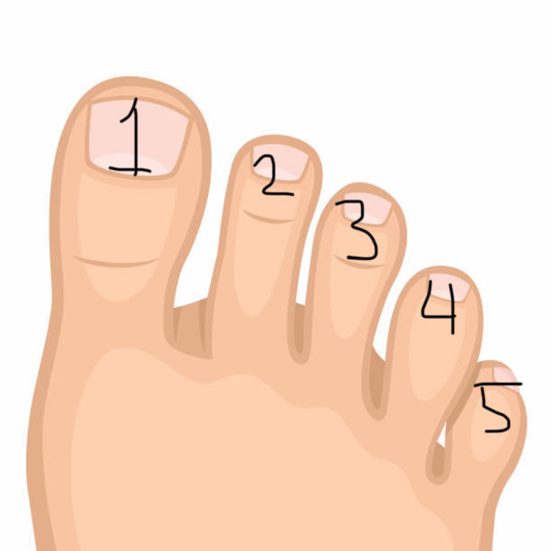 what do you call each toe? | hinative