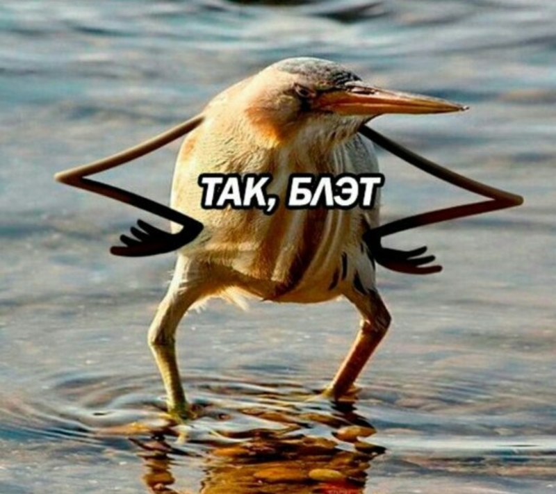 O que significa ""Так блэт""? - Pergunta sobre a Russo | HiNative