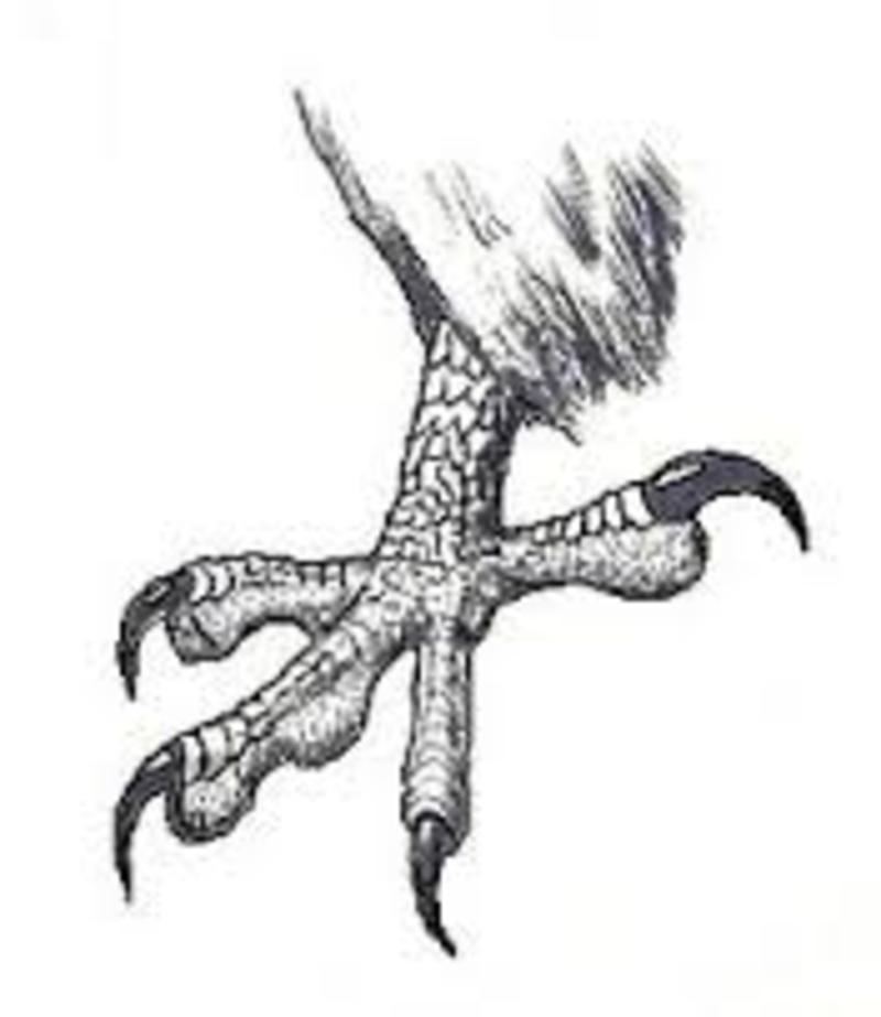 【claw】とはどういう意味ですか？ - 英語 (アメリカ)に関する質問 | HiNative