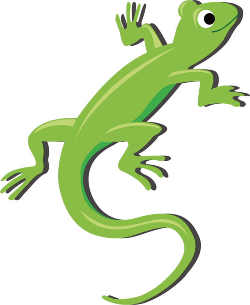 蜥蜴这个在日语里怎么说