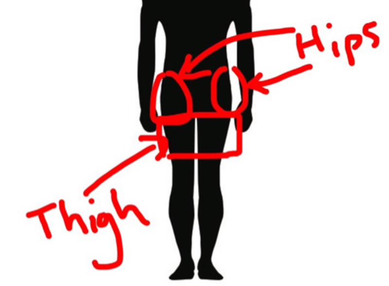 🆚What is the difference between hip and thigh  ? hip vs thigh  ?