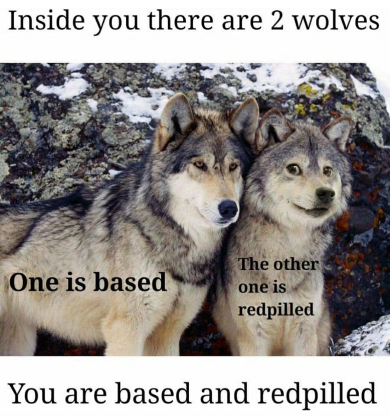 basedredpill是什么意思