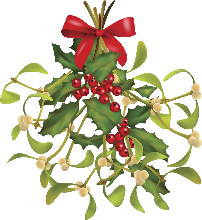 mistletoe是什么意思
