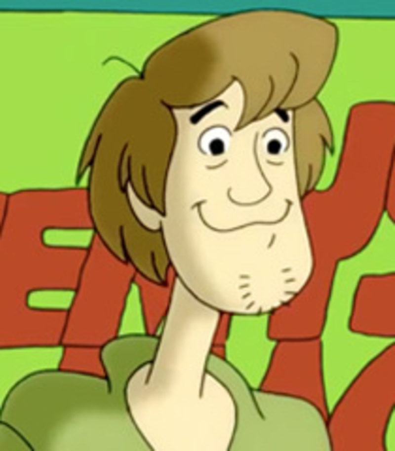 What does "shaggy from scooby doo" mean? HiNative