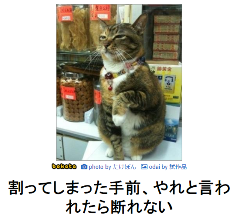 否定した以上 やってるとは言えない と 否定した手前 やってるとは言えない はどう違いますか Hinative