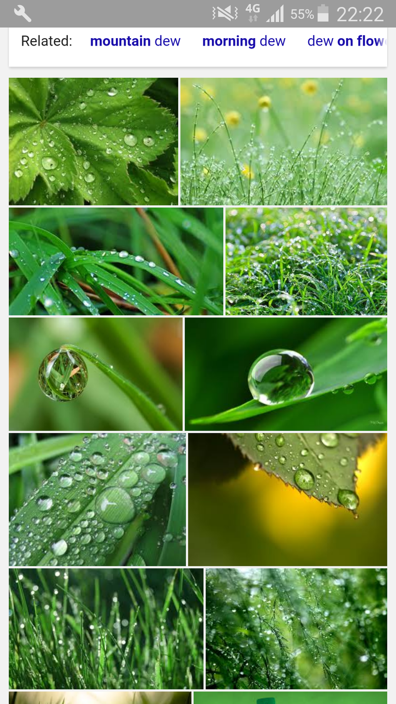 And The Grass With Dew Is Wet とはどういう意味ですか 英語 アメリカ に関する質問 Hinative
